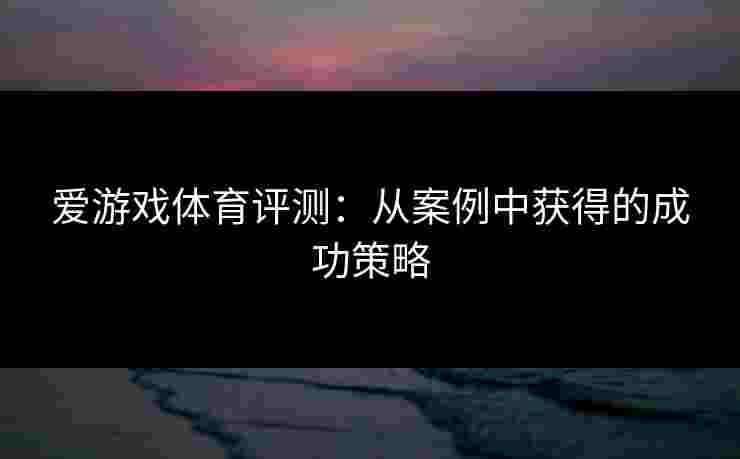爱游戏体育评测：从案例中获得的成功策略
