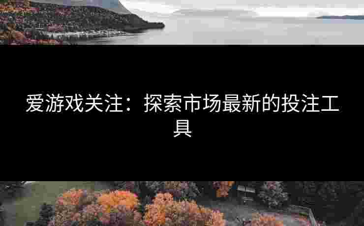爱游戏关注：探索市场最新的投注工具